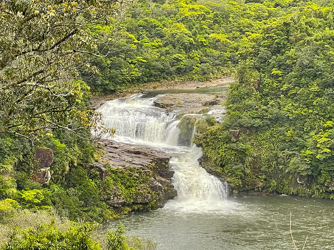 Iriomote Island wilderness