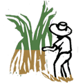 Harvest